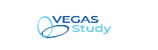 Small Vegas Study logo.